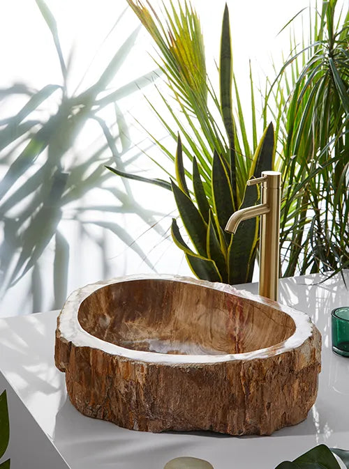 waskom versteend hout